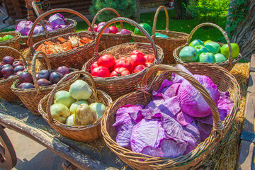 Autumn vegetables and fruits. Beautiful basket with vegetables and fruits (cabbage, eggplant, zucchini, tomato, apples)