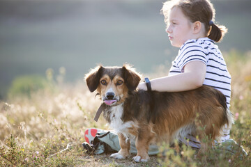 Girl sitting with her dog in summer meadow in the sunset.