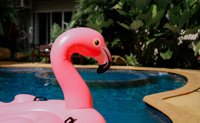 Summer vacation fun funny Pink  Flamingo  float  in a swimming pool trendy summer concept