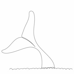 one line drawing whale tail sketch vector