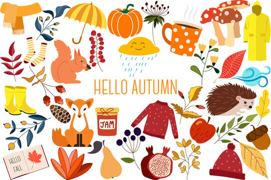 Vector set of autumn icons: sweater, falling leaves, cozy food, candles, book and cute hendgehog. Scrapbook collection of fall season elements. Bright background for harvest time. Autumn greeting card