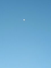 moon in the morning sky
