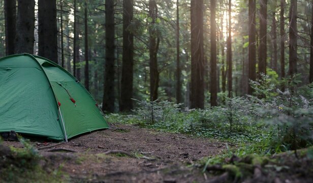 Tourist green tent in forest  at campsite on sunset. Camping background. Panoramic view of campsite  in dusk forest. Camping in nature park in summer. Adventure travel active lifestyle. Shallow DOF.