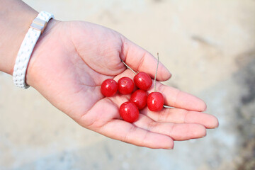 handful of currants