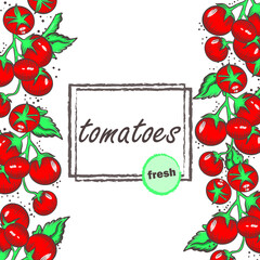 Template with cherry tomatoes vector illustration. Frame with vegetables and lettuce leaves. Vintage background for labels or packaging. Hand engraving.