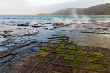 Mesmerizing view of Tessellated Pavement, Eaglehawk Neck, Tasmania, Australia