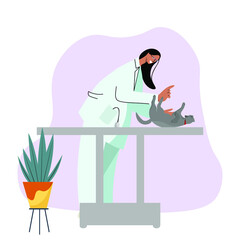 Woman doctor's veterinarian is examining a cute grey cat at the vet clinic. Flat Vector Illustration.