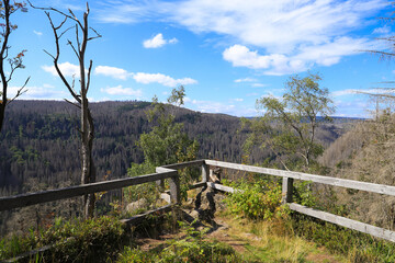 Fototapeta na wymiar Panoramic view from the beautiful mountain hill Hahnenkleeklippen, Nationalpark Harz - Germany