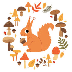 Squirrel in a wreath of mushrooms.Set of autumn mushrooms. Forest plants and animals.