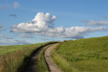 Fototapeta na wymiar path through fields with white clouds at the horizont