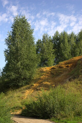 Obraz premium trees on the hillside on the edge of town