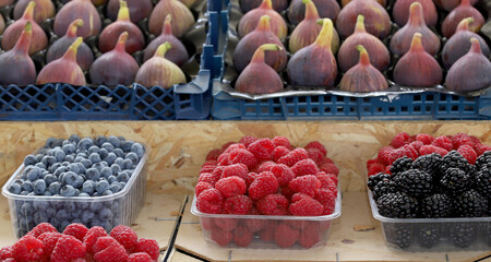 Colorful variety of berries background