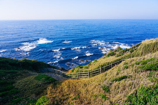 海に向かって城ヶ島の崖を下る道 © WAWA
