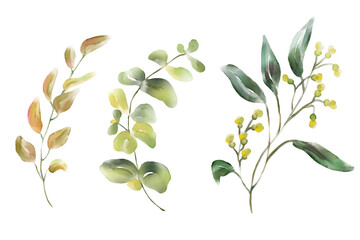 Watercolor florals greenery, branch, twig illustration.