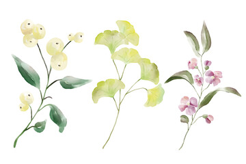 Watercolor florals greenery, branch, twig illustration.
