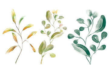 Fototapeta na wymiar Watercolor florals greenery, branch, twig illustration.