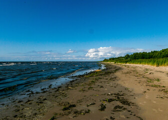 Obraz premium seaside landscape from Estonia, sea grasses and rocks in shallow sea water, Kabli bird center, Parnu Bay, Estonia