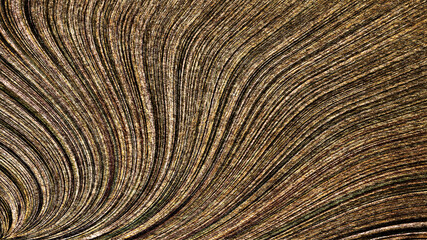 Painting  old art flower canvas matte