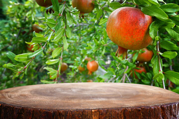 vintage wooden board table in front of pomegranate tree landscape. Product display presentation