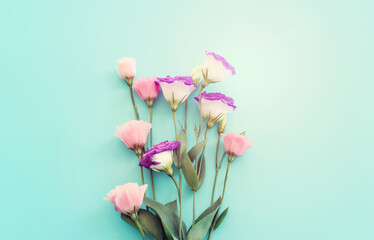 Fototapeta premium Top view image of pink and purple flowers composition over pastel blue background .Flat lay