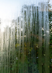 photography with wet and sweaty window, raindrop texture, blurred tree outline in the background