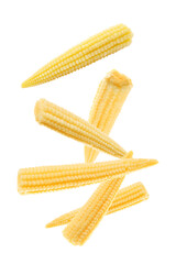Tasty baby corn cobs flying on white background