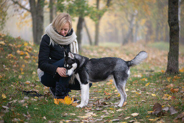 Naklejka na ściany i meble Young woman with beautiful siberian husky dog playing in city park during autumn