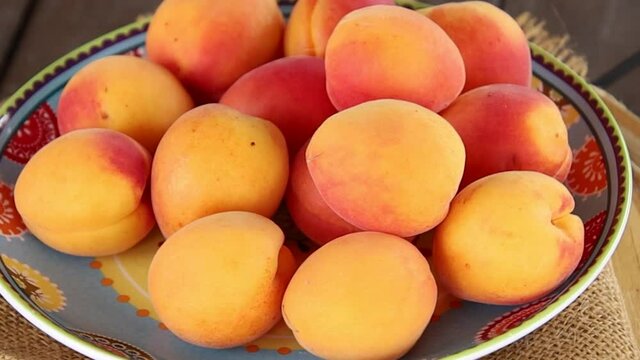 plusieurs abricots dans un plat
