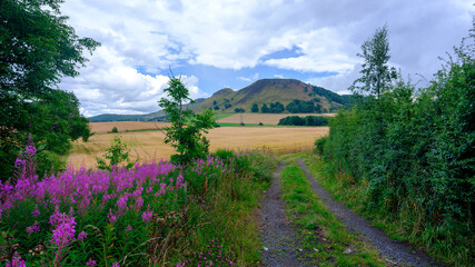 Benarty Hill near Lochleven, Scotland
