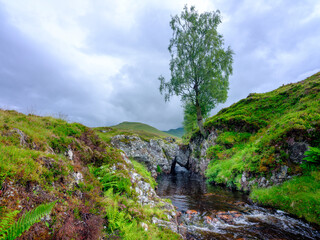 Highland stream, waterfall and tree in afternoon light on the Allt Bail' a'mhuilinn, Ben Lawers...