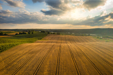 Beautiful scenery of fields during harvest in northern Poland