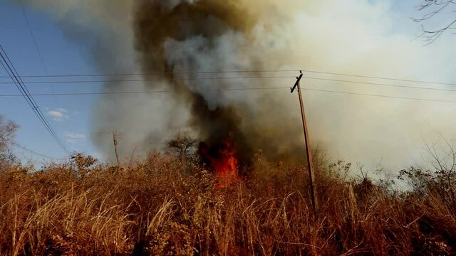Drought caused by climate change results in wildfires in the dry brush along a utility road
