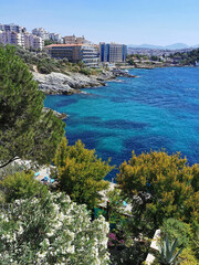 Top view of the sea and the garden with pines, bougainvilleas, mimosas and other flowers. The...