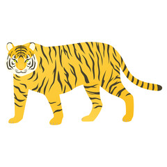 虎　寅　イラスト