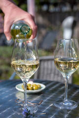 Drinking of dry white wine on open terrace in spring garden