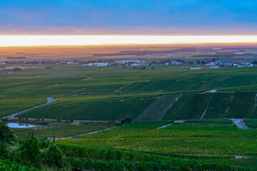 Amazing sunrise on rainy day over green grand cru vineyards near Epernay, region Champagne, France....