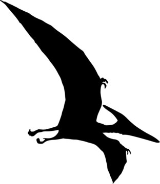 Dinosaur. The silhouette of a dinosaur flying with large wings. Collection of Jurassic animals. Black and white illustration of dinosaurs for children.