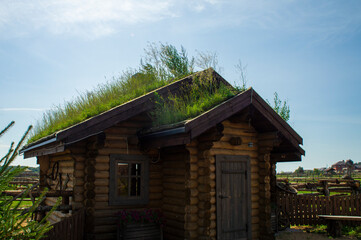Fototapeta na wymiar Old wooden vintage house with growing grass on the roof. 15 August 2021, Baranovichi, Belarus