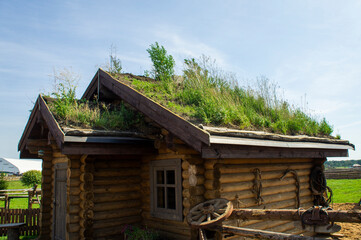 Fototapeta na wymiar Old wooden vintage house with growing grass on the roof. 15 August 2021, Baranovichi, Belarus