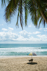 Amazing coconut trees on island blue sky and clouds background. sun light in summer.Pattern trees on sunset silhouette.