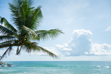 Fototapeta na wymiar Beautiful Palm trees against blue sky.Amazing coconut trees on island blue sky and clouds background. 