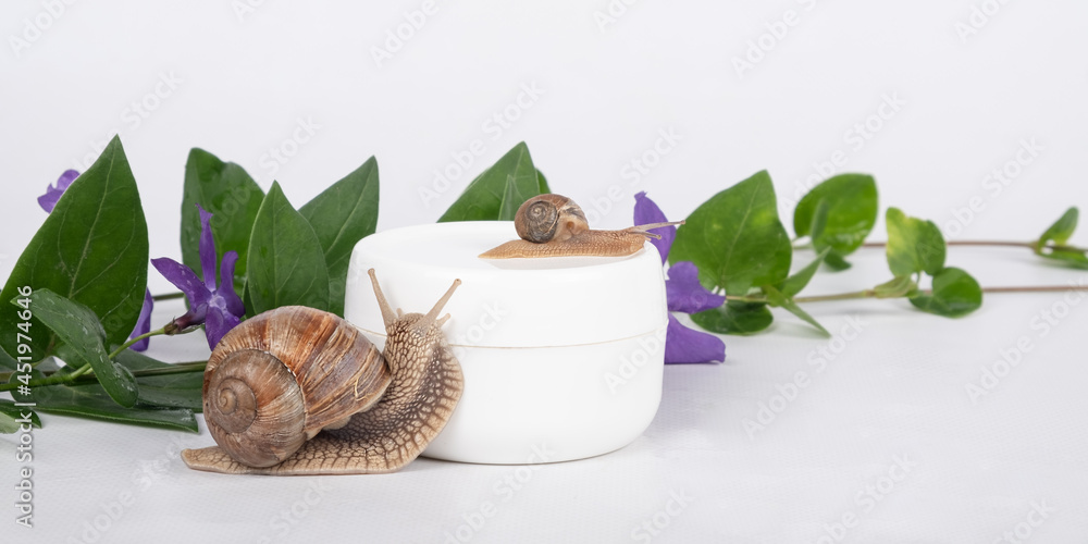 Wall mural snail mucin cream with natural flower aroma, beauty skin care.