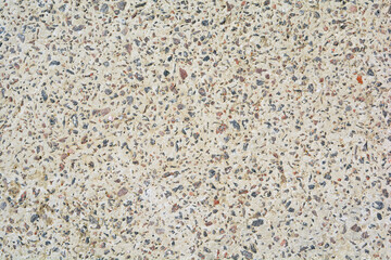 high quality shell rock texture for designers and architects