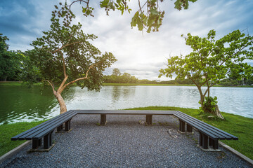 Obraz premium bench under the tree at Park at Ang Kaew Chiang Mai University in nature forest Mountain views spring cloudy sky background with white cloud.
