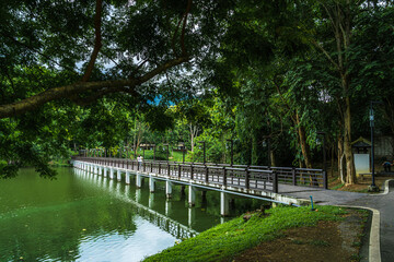Bridge Road pathway in the park for relaxing walking jogging landscape lake views at Ang Kaew Chiang Mai University in nature forest Mountain views spring blue sky background with white cloud.
