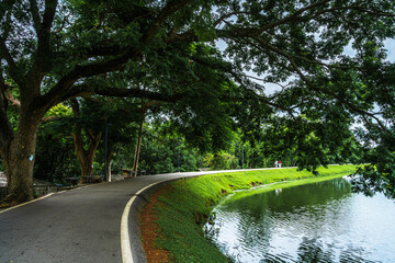 Road pathway in the park for relaxing walking jogging landscape lake views at Ang Kaew Chiang Mai University in nature forest Mountain views spring blue sky background with white cloud.