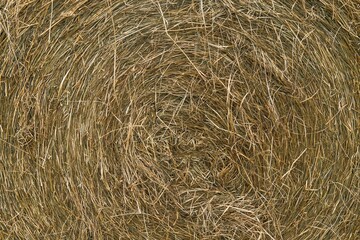 Straw and hay texture
