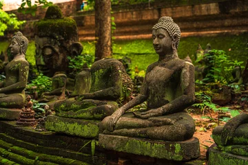 Fototapeten Ancient buddha figures Wat Umong Suan Puthatham is a Buddhist temple in the historic centre and is a Buddhist temple is a major tourist attraction with green forest nature in Chiang Mai,Thailand. © Thinapob