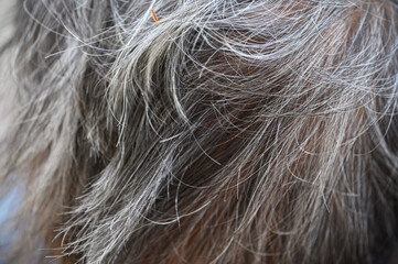 Close-up old woman gray hair