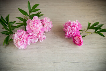 several branches of blooming pink peonies on a wooden table